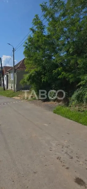 Teren intravilan de vanzare in Rahau la doar 5 km de Sebes Alba - imagine 2