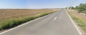 Teren intravilan 10.000 mp Fundulea (Gostilele)   Deschidere la DJ 402 - imagine 2