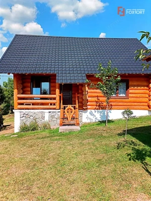 Cabane cu 7 camere de vanzare in Albac - imagine 14