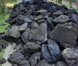 Carbune lignit calitate inalta