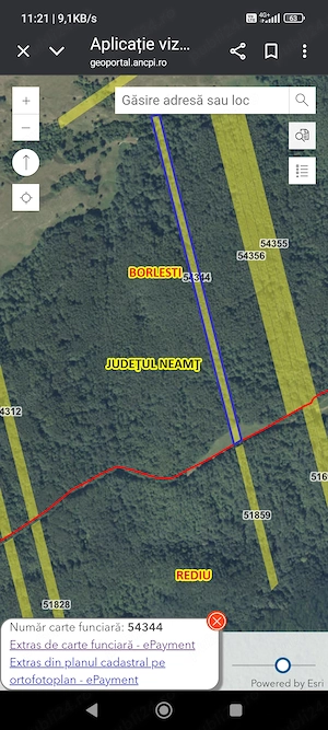  De vânzare teren parcelă de pădure   județul Neamț p 