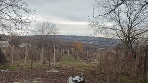 Teren de vanzare in Tomesti - imagine 9
