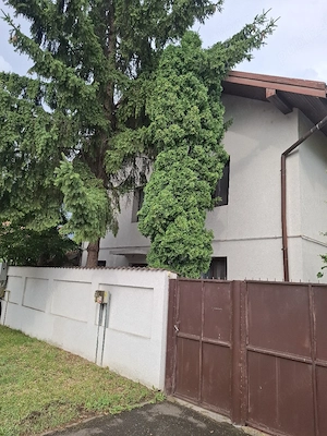 Inchiriez casa 3 camere, zona Sub Arini - imagine 3