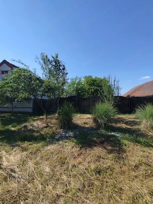 Oaza de liniște în Balinț -Teren ideal pt casă de vacanță sau casa visurilor tale!! - imagine 3
