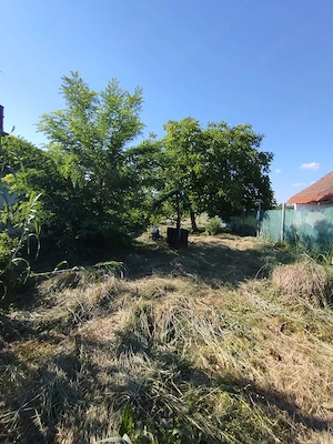 Oaza de liniște în Balinț -Teren ideal pt casă de vacanță sau casa visurilor tale!! - imagine 4