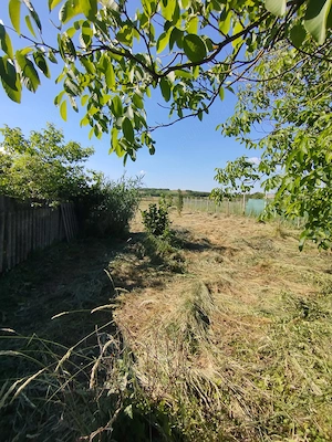 Oaza de liniște în Balinț -Teren ideal pt casă de vacanță sau casa visurilor tale!! - imagine 5