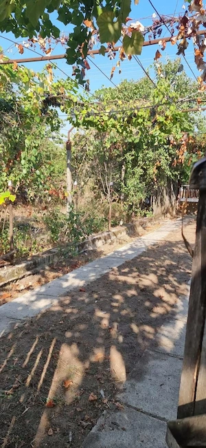 Teren intravilan de vanzare in Comuna Budesti, sat Ruda, Ramnicu Valcea - imagine 5