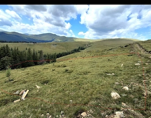 Teren intravilan Roman 2 loturi, 2.000 mp la 1.750 m, lângă Refugiul Vf. Ursu - imagine 3