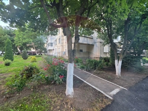 Apartament în care te poți muta fără griji-3 camere-Armatei Tarnaveni - imagine 19