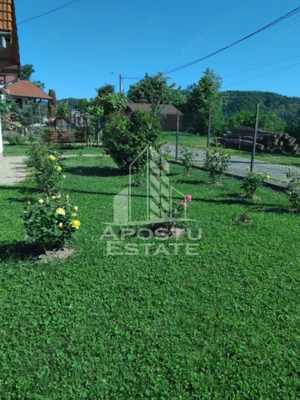 Casa cu teren de 3515mp, in Resita - imagine 8