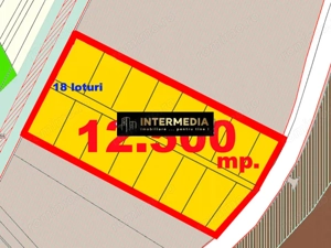 Vanzare Teren Intravilan 12500 mp PUZ aprobat construire Case Paclisa