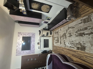 Apartament Valea Rosie - imagine 5