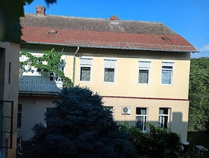 Oportunitate Balcescu, et 1, 68mpu, curte linistita, gradina - imagine 4