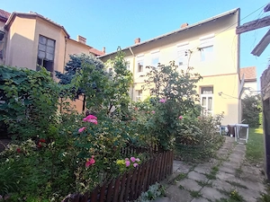 Oportunitate Balcescu, et 1, 68mpu, curte linistita, gradina - imagine 3