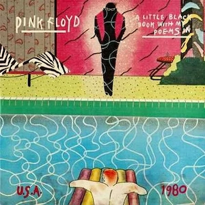 PINK FLOYD format mp 3 - discografie din concerte etc atentie 15 GB.