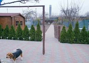 Casa + teren 653 mp Craiova, zona 1, str. Fluturi - imagine 2