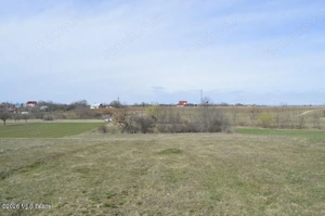 Suseni - Teren intravilan rezidential, suprafata 4000 mp - imagine 10