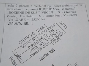 Vand teren intravilan,com.Ruginoasa jud. Neamț. 