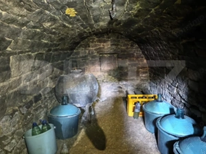 Casă bătrânească cu bucătărie de vară, 100 mp, teren 3.000 mp, zona Raducaneni - imagine 7