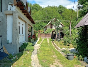 Vand casa in Comuna Musatesti - imagine 3