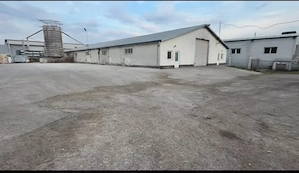 17.000 mp teren intravilan + hale 2.000 mp-Drumul Tărpiului | Zona LEONI  DRUMUL TĂRPIULUI, BISTRIȚA - imagine 3