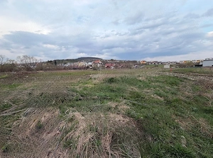 17.000 mp teren intravilan + hale 2.000 mp-Drumul Tărpiului | Zona LEONI  DRUMUL TĂRPIULUI, BISTRIȚA - imagine 2