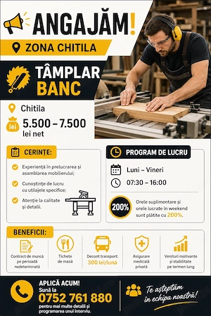 Angajam Montator Mobila si Tamplar Banc - imagine 2