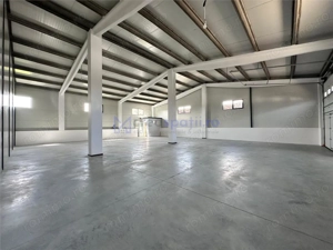 Hale Tg. Neamt, bd. St. cel Mare, depozitare, de la 250mp la 2000mp - imagine 7