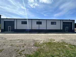 Hale Tg. Neamt, bd. St. cel Mare, depozitare, de la 250mp la 2000mp - imagine 5