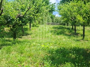 Casă săsească autentică în Bruiu (Sibiu) - imagine 17