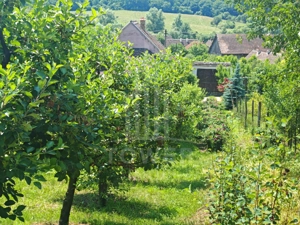 Casă săsească autentică în Bruiu (Sibiu) - imagine 18