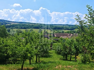 Casă săsească autentică în Bruiu (Sibiu) - imagine 19