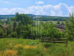 Casă săsească autentică în Bruiu (Sibiu) - imagine 20