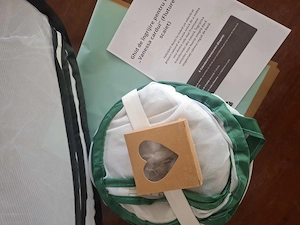 Crisalide de fluture Vanessa cardui   Kit complet
