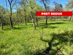 Teren intravilan, Comuna Corbi, Jud. Argeș, toarte utilitatile