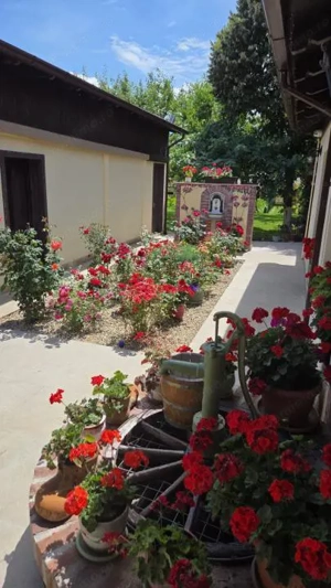 Casa din povesti, 5 camere, pe parter- zona Lipovei Timișoara  - imagine 3