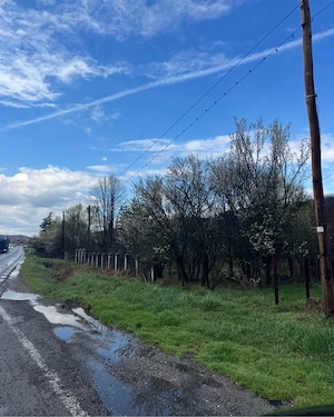 Teren intravilan Draganu, 9 km de Pitești, teren Arges , teren Pitesti - imagine 2