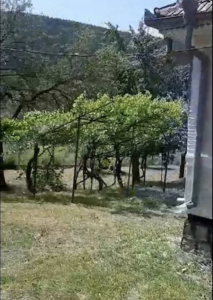 Vând casa + anexa Jud.Vrancea, comuna Tulnici , Sat Coza - suprafață  3000mp - imagine 7