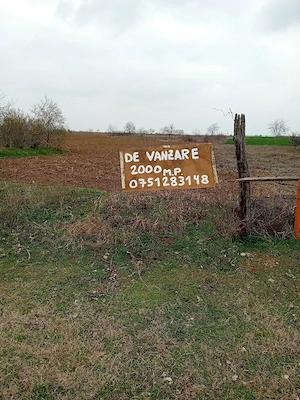 teren de vanzare