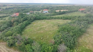 Vand teren intravilan 1000mp - Sacosu Mare la 10 km de Lugoj - imagine 2