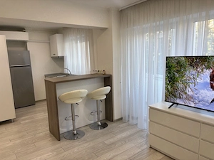 Apartament cu o cameră ULTRA-CENTRAL Disponibil pentru Regim HOTELIER - imagine 3