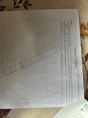 Casă cu teren generos de 3.066 mp la drumul principal   Livada de Bihor, Satul Vechi