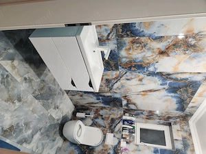 Casa de vinzare in sintandrei - imagine 10