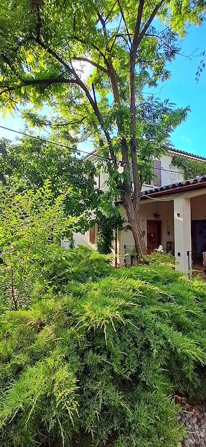  Vila Individuala, zona deosebita, centrala cu deschidere pe doua strazi 21.5 m respectiv 20 m l.