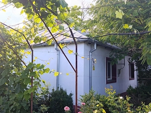 De vânzare proprietate intravilan, casă si teren. - imagine 5