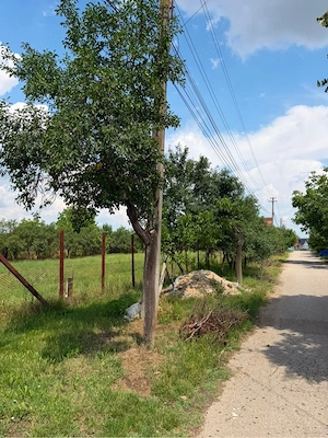 Teren intravilan de vânzare   2.595 mp   Ultracentral, Pișchia, jud. Timiș - imagine 9