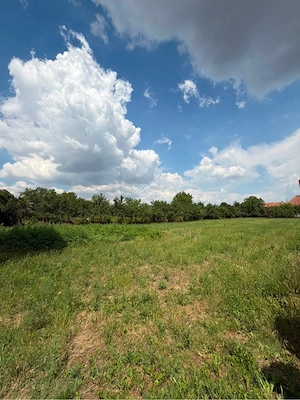 Teren intravilan de vânzare   2.595 mp   Ultracentral, Pișchia, jud. Timiș - imagine 7