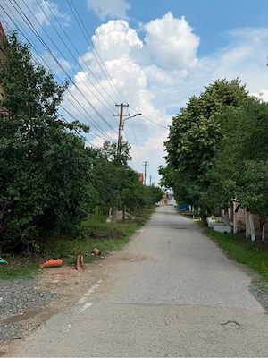Teren intravilan de vânzare   2.595 mp   Ultracentral, Pișchia, jud. Timiș - imagine 8