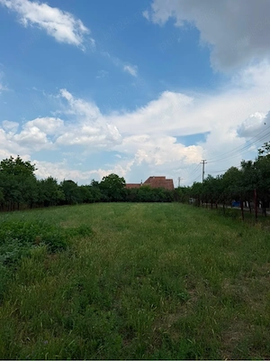 Teren intravilan de vânzare   2.595 mp   Ultracentral, Pișchia, jud. Timiș - imagine 2