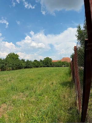 Teren intravilan de vânzare   2.595 mp   Ultracentral, Pișchia, jud. Timiș - imagine 4